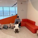 한주카써비스 | 변수는 엄재이