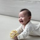 타임소프트 | 터미타임 장난감 추천 베이비클라우드 소프트 실리콘볼 사용 후기