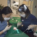 수미치과의원 이미지