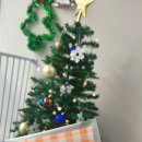 멍냥이꼬 이미지