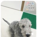 경희궁바른동물병원 이미지