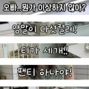 남편 팬티의 미스테리. 이미지
