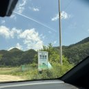 원주 칠봉 두루뭉 캠핑장 계곡뷰 4번 사이트 후기 (애견동반)