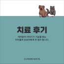 정샘동물병원 | 안산동물병원, 5월 보호자님의 소중한 치료 후기를 전합니다