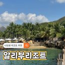 나트랑 알리부리조트 수영장 프라이빗비치 스노클링 후기