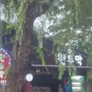 원두막커피 이미지