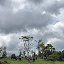 이룸별당 이미지