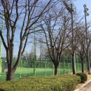 상북면민운동장 운동시설 | 상북면 길천일반산업단지, 그리고 상북면민운동장에서