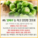 싱싱채소과일