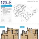 수색초등(병설) 이미지