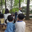 한터 | 한터조랑말농장 후기 아이와 농촌체험도 하고 말타기까지