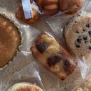 빵리스타 이미지