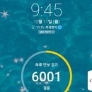샐포시 이미지