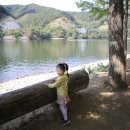 띠아모 펜션 이미지