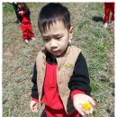 회인초교 병설유치원 이미지