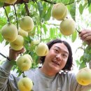 시목농장 이미지