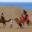 가자관광여행사 이미지