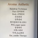 베누스파 이미지