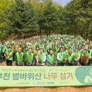 프로젝트이로 이미지