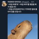 풍요의 계절 이미지