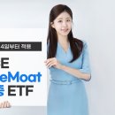 와이드모트