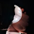 에레메스(LMS) 이미지