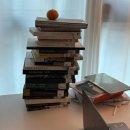 [행복한학교]일본도시여행(오사카편)-아무도 알려주지 않았던 도시전설 | 2025년 12월, Dicembre con Panna! 상하이 크리스마스