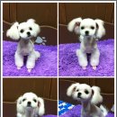 秀빼어날수