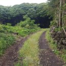 남원읍-95 이미지