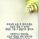 어버이날 살을적에 효도합시다 이미지