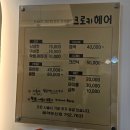 크로키헤어 이미지