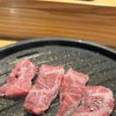궁극의갈비살678