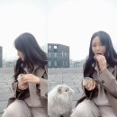 햇살샌드 이미지