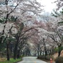 카페화 - 춘천시 충열로20번길 12 | 카페화