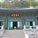 백화화원 이미지