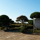 상모리-8 이미지