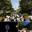 힐링푸드빌 - 은평구 통일로 1050 | 힐링푸드빌