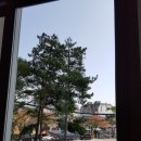 크린패밀리 이미지