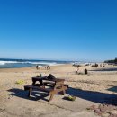 늘푸른캠핑장민박 이미지