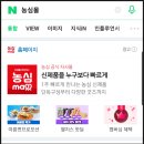 발품 몰
