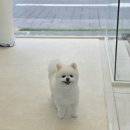 행복미용실 이미지