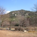 천하대장군 이미지