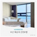 호텔 준(HOTEL JUNE) | 부산 해운대 애견동반 선셋호텔 패밀리 퀸 트윈 오션뷰 객실에서의 하루