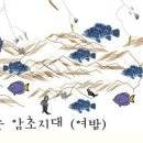 한마낚시