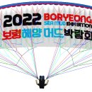보령항공
