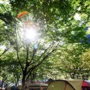 거북바위야영장 이미지