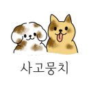 황산애견 이미지