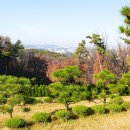 동선목장 이미지