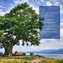 경북광고기획 이미지