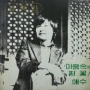 김학민 [마음속에 핀 꽃／애수] (1980) 이미지